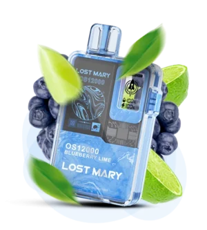 Одноразка Lost Mary OS12000 Чорниця Лайм