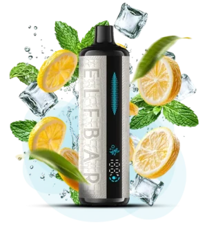 Одноразова Pod-система Elf Bar E Shisha 12000 Lemon mint