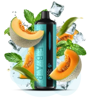 Одноразова Pod-система Elf Bar E Shisha 12000 Melon Mint