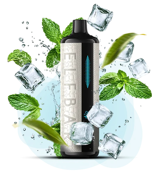 ElfBar_E_Shisha_16000_MintFreeze Одноразова Pod-система Elf Bar E Shisha 12000 Mint Freeze - Зображення 1