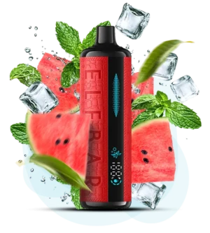 Одноразова Pod-система Elf Bar E Shisha 12000 Watermelon Mint