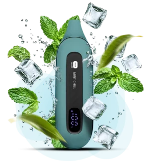Одноразовая Pod-система Flonq Max 12000 Mint Chill Мята