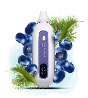 Одноразовая Pod-система Flonq Max 12000 Sour Blueberry Juice