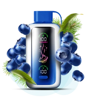 Одноразовая Pod-система Vozol Star 20000 Blueberry Storm