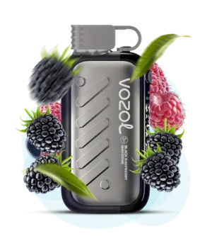 Одноразовая Pod-система Vozol Gear 50000 Black Raspberry Smoothie