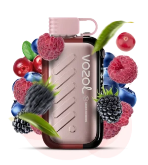 Одноразовая Pod-система Vozol Gear 50000 Mixed Berries